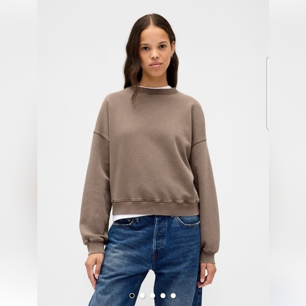 GAP Women's Brown VintageSoft Wedge Crewneck Sweatshirt Size Medium Tall